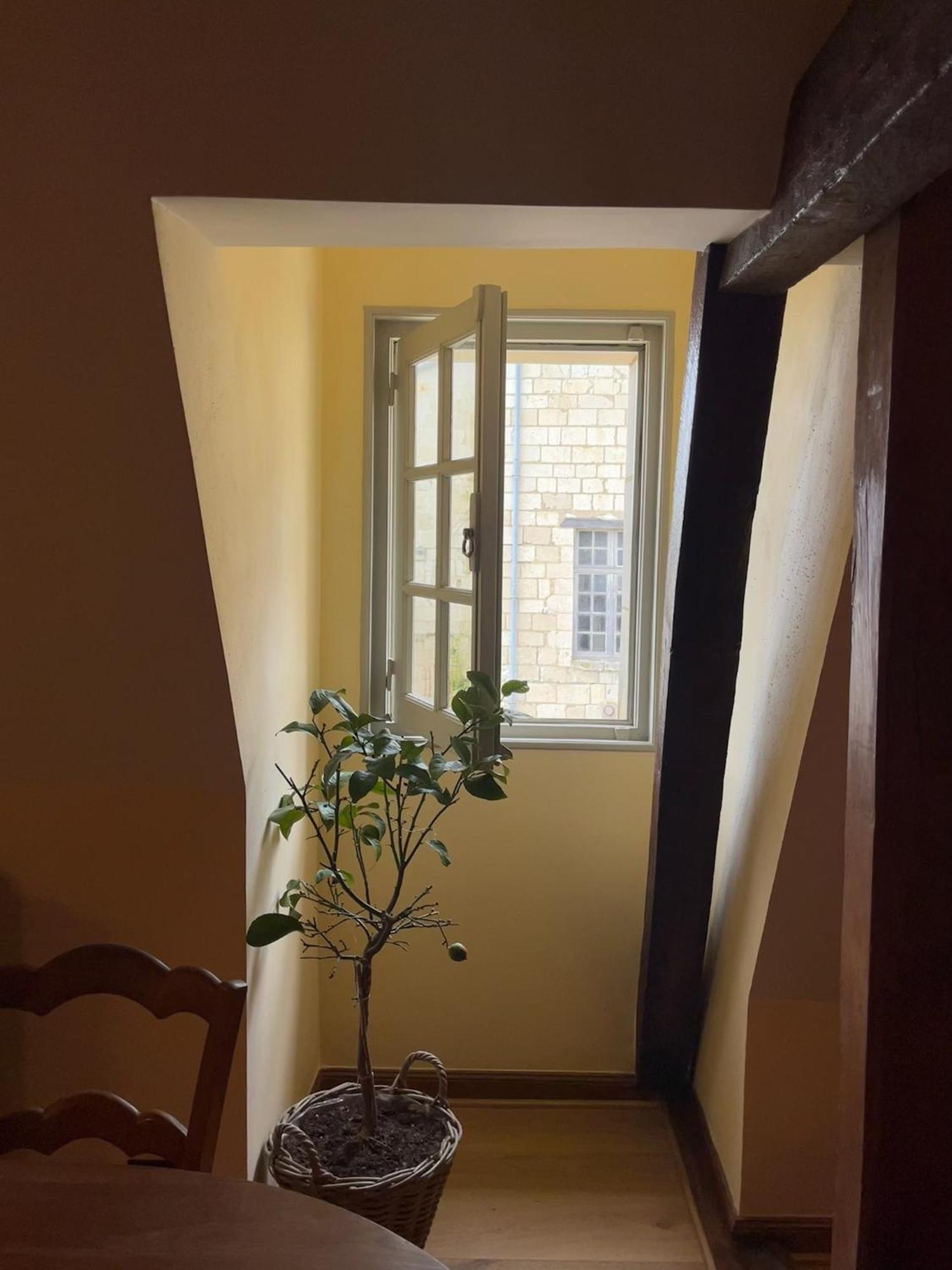 Le Logis De Bodard Chinon